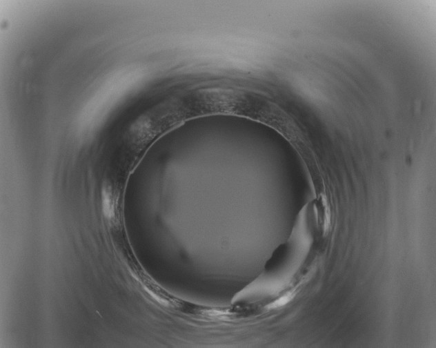 X0000083640239200702201416