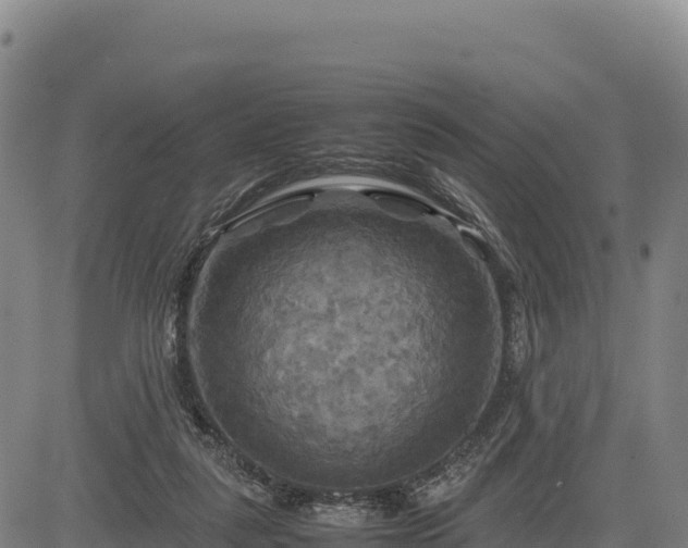 X0000083640259200702201416