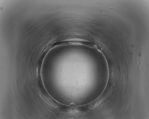 X0000083640262200702201416