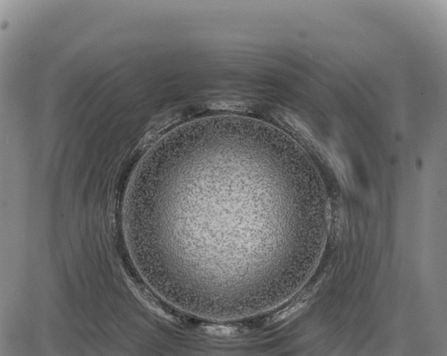 X0000083640265200702201416