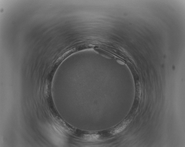 X0000083640266200702201416