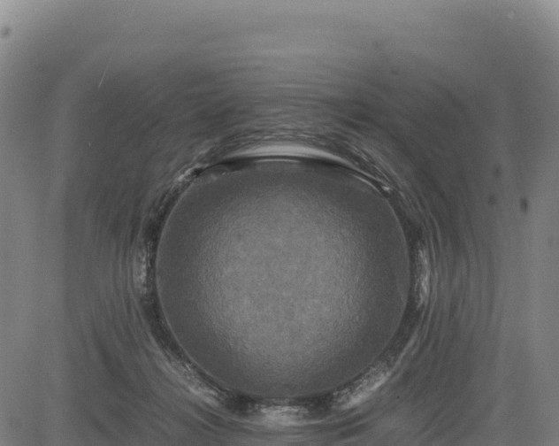 X0000083640268200702201416