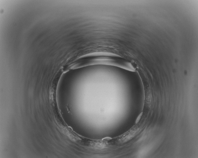 X0000083640282200702201416