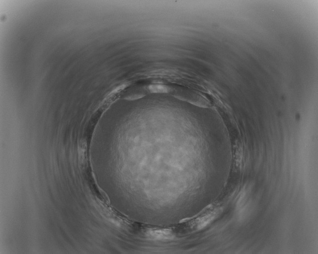 X0000083640283200702201416