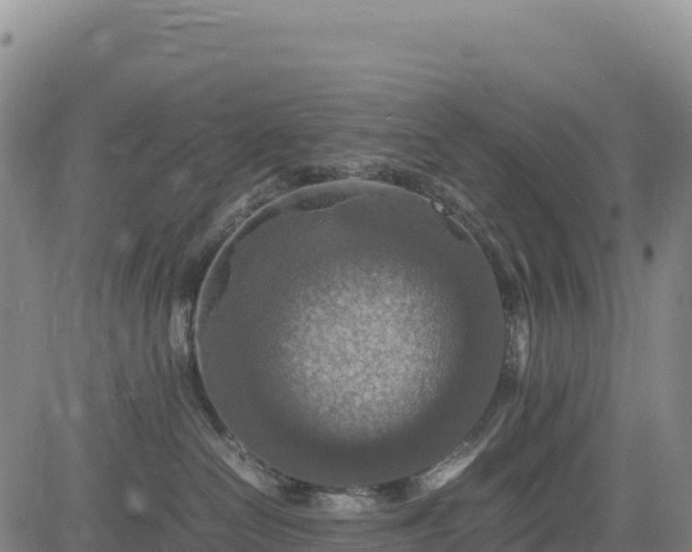 X0000083640286200702201416