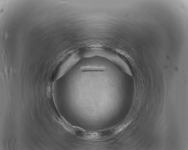 X0000083640288200702201416