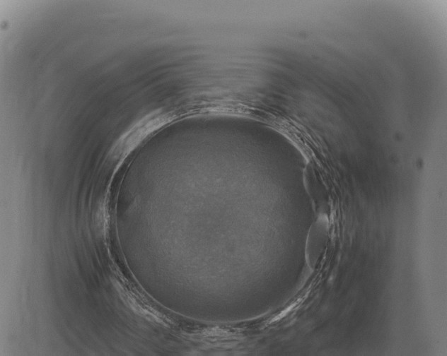 X0000083640290200702201415