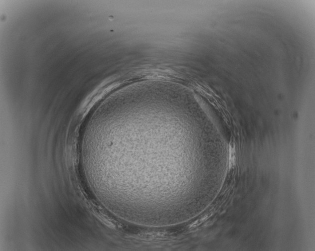 X0000083640291200702201415