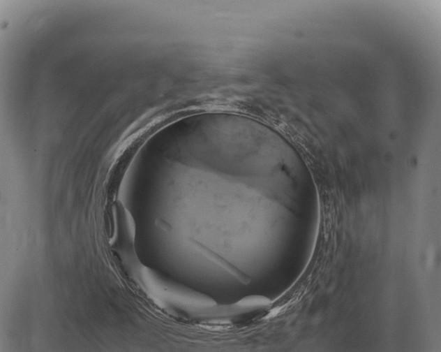 X0000083640295200702201415