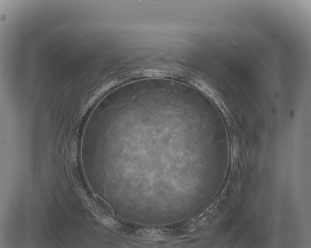 X0000083640297200702201415