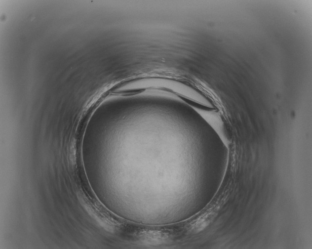 X0000083640298200702201415