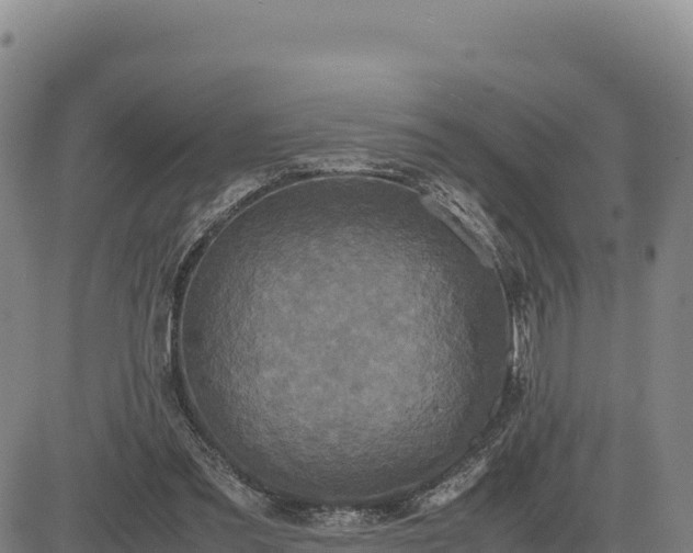 X0000083640301200702201415