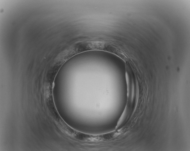 X0000083640323200702201415