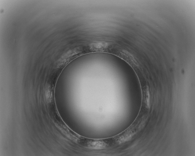 X0000083640324200702201415