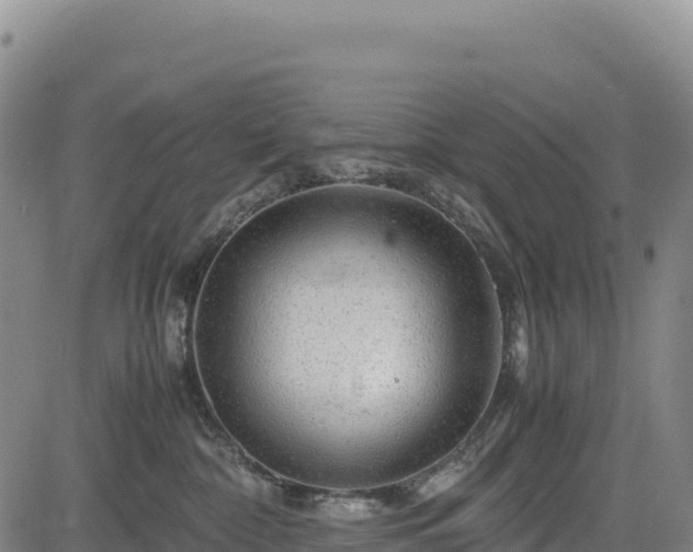 X0000083640332200702201415