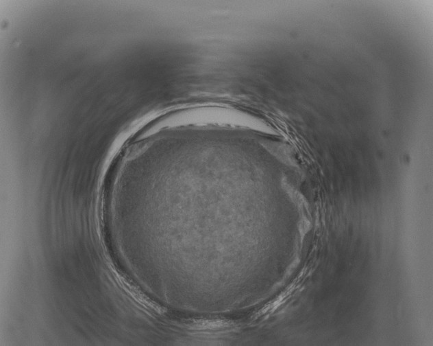 X0000083640342200702201414