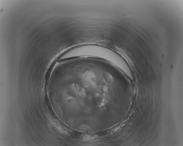 X0000083640346200702201414