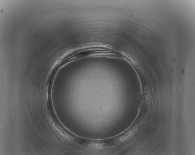 X0000083640350200702201414