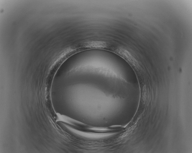 X0000083640351200702201414
