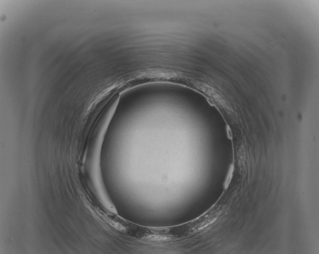 X0000083640352200702201414