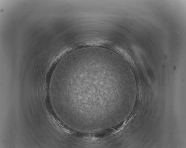 X0000083640354200702201414