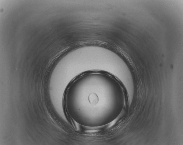 X0000083640356200702201414
