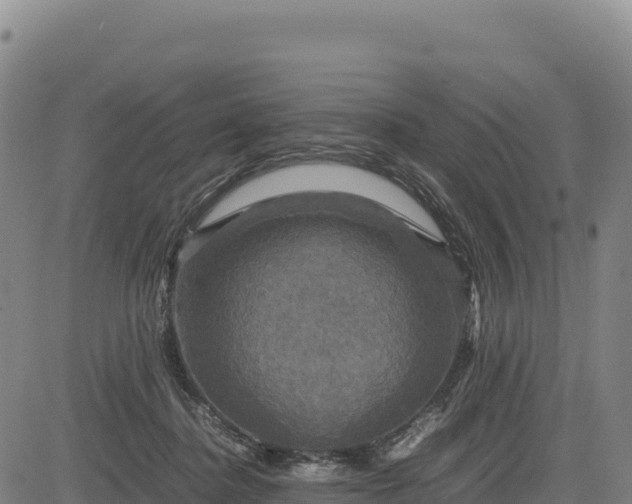 X0000083640364200702201414