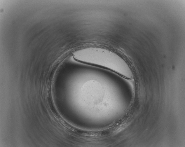 X0000083640370200702201414