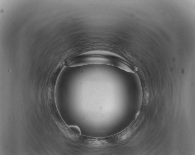 X0000083640379200702201414