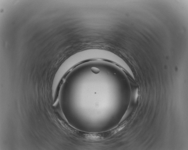 X0000083640380200702201414