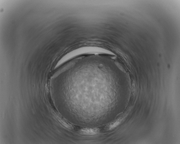 X0000083640381200702201415