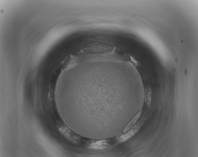 X0000083640382200702201415