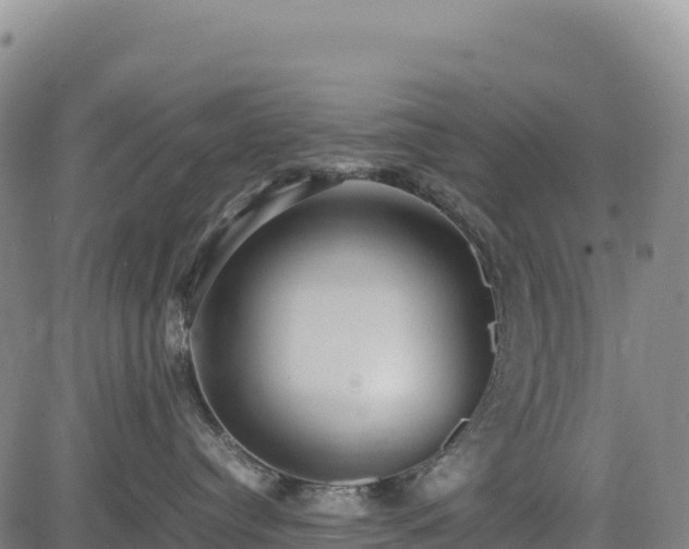 X0000083640384200702201415