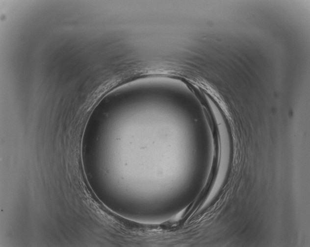 X0000083640385200702201414
