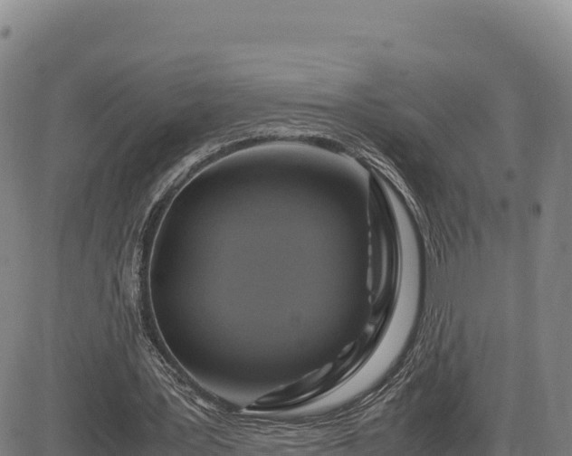X0000083640387200702201414