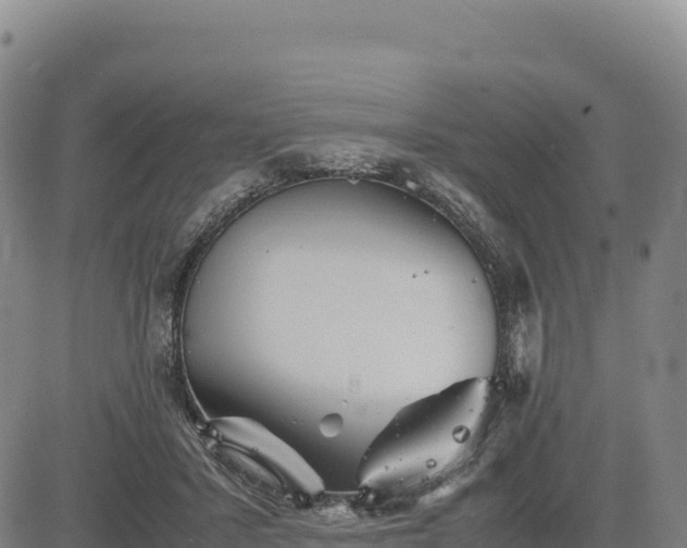 X0000083640407200702201413