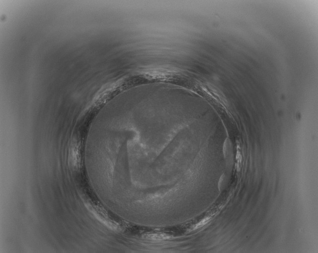 X0000083640408200702201413