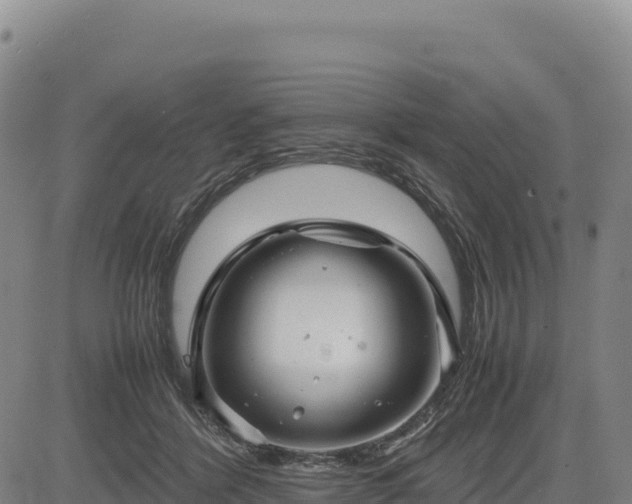 X0000083640412200702201413