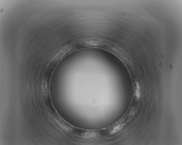 X0000083640418200702201413