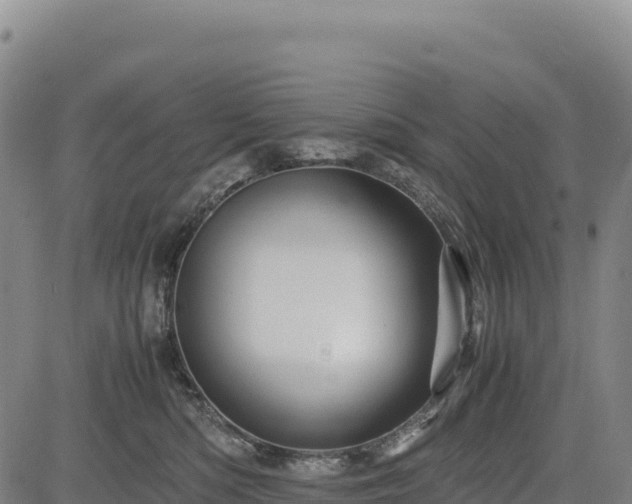 X0000083640422200702201413