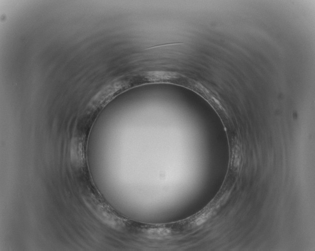 X0000083640426200702201413