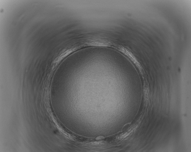 X0000083640433200702201412