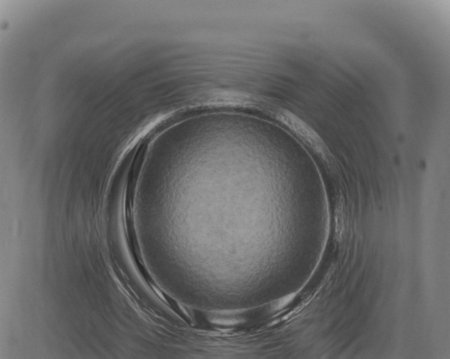 X0000083640436200702201412