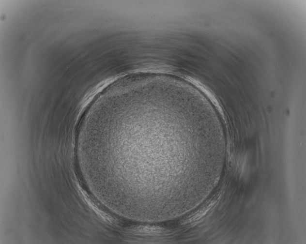X0000083640437200702201412