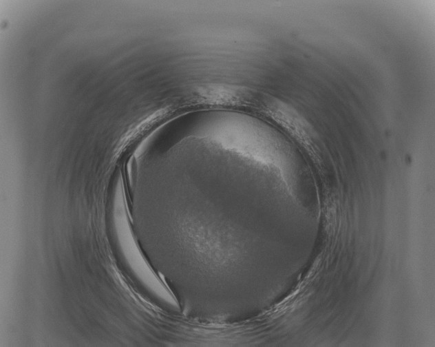 X0000083640442200702201412