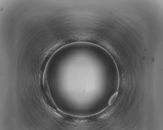 X0000083640450200702201412