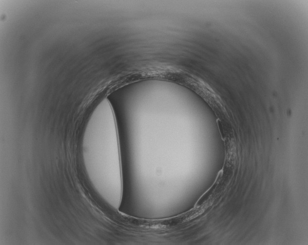 X0000083640452200702201412