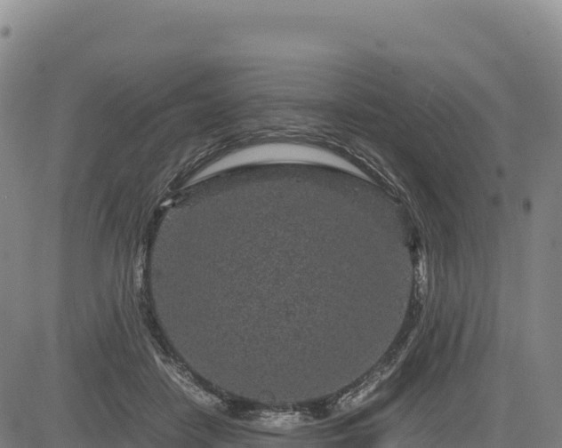 X0000083640458200702201413