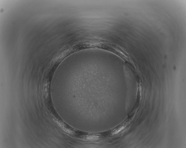 X0000083640462200702201413
