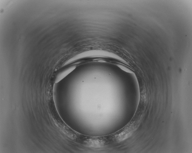 X0000083640464200702201413